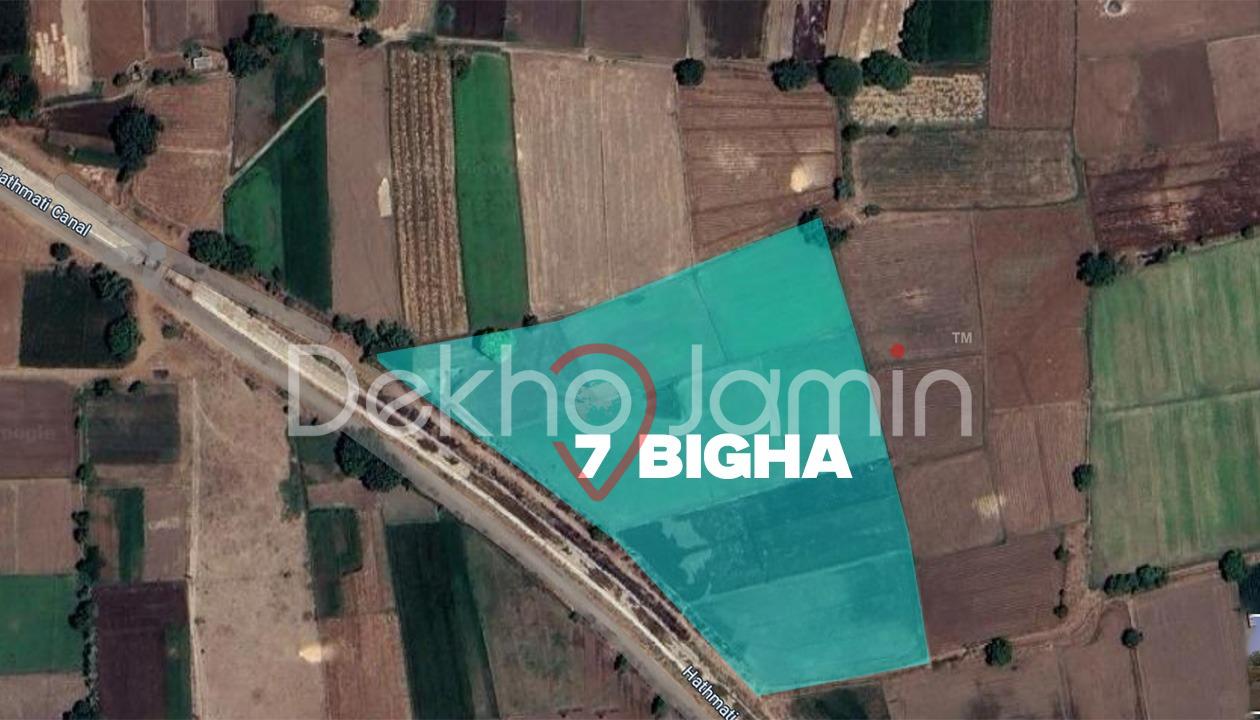 7 Vigha Agriculture Land For Sell In Poglu