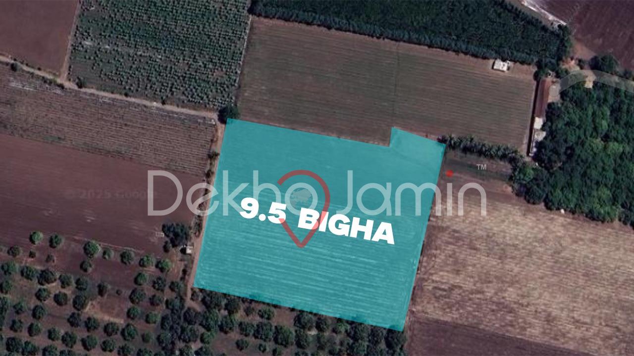 Agriculture Land For Sell In Dhanfuliya, Vanthali