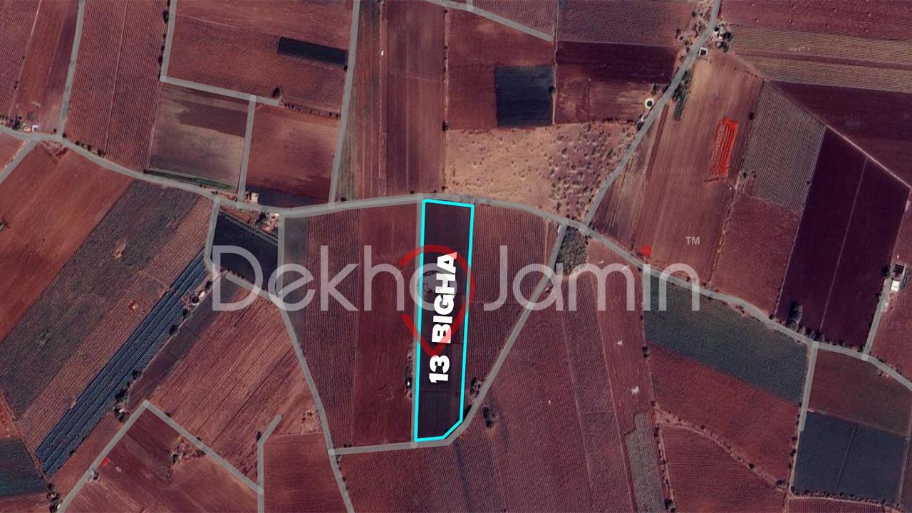 13 Vigha Agriculture Land For Sell In Gundasari Jamkandorana