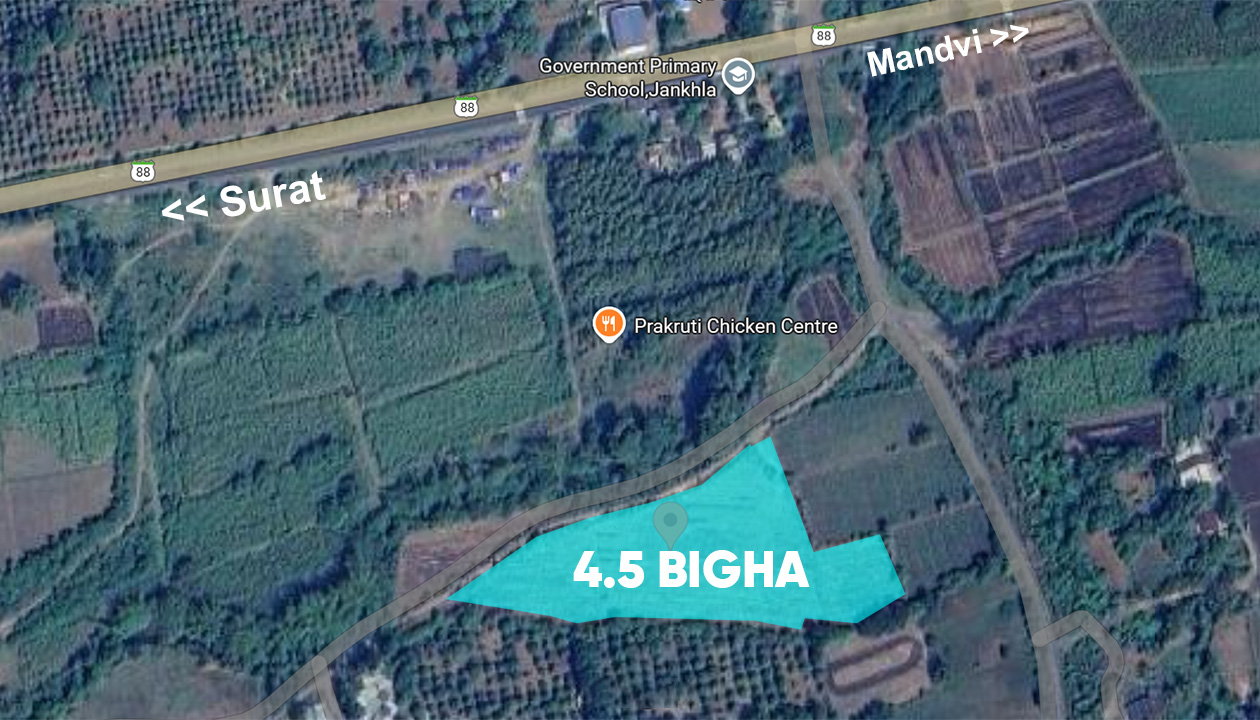 4.5 Bigha Agriculture Land for Sale in Jakhla, Mandvi, Near Surat