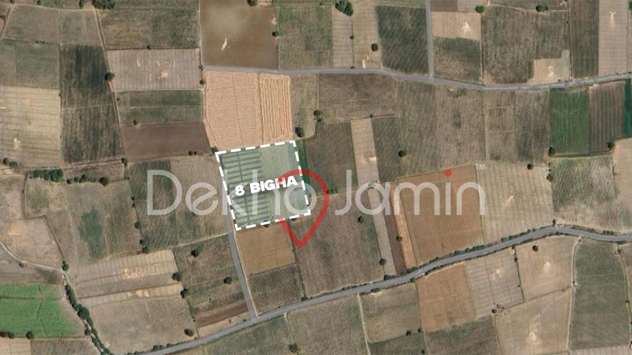 Land for Sale Nani Kathechi Limbdi