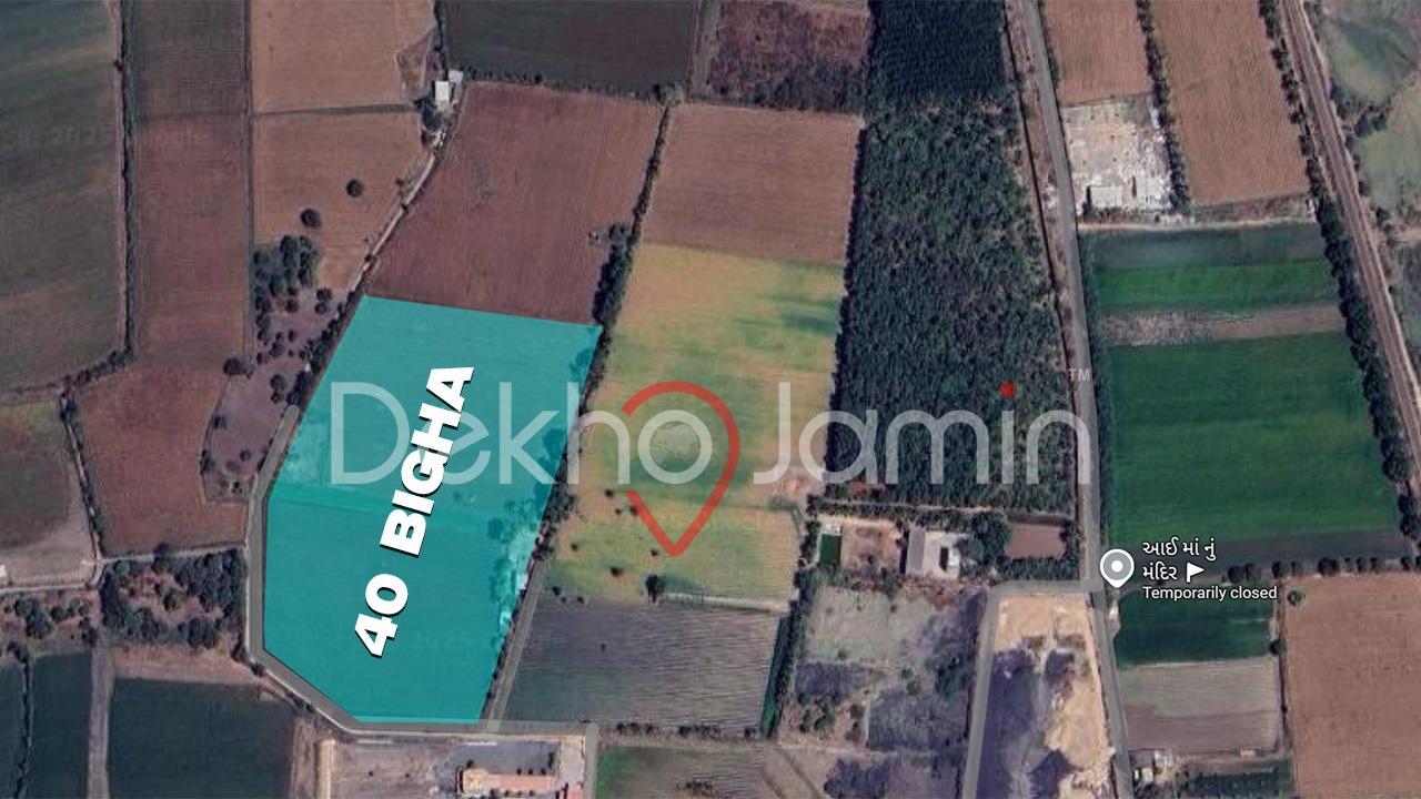 40 Vigha Agriculture Land For Sell In Plasva, Junagadh