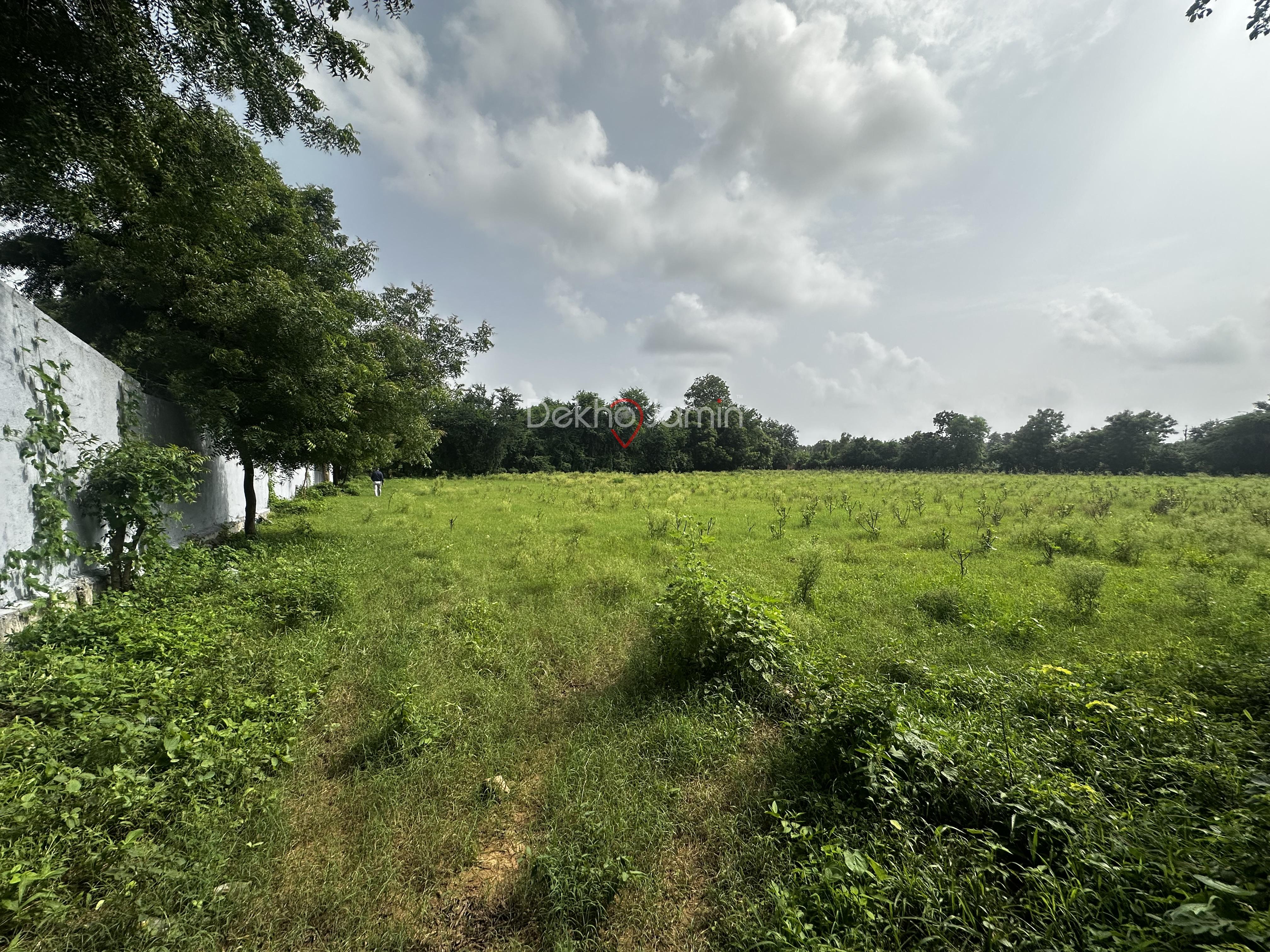 43500 Sqft Land Sale in Jaspur Vadodara