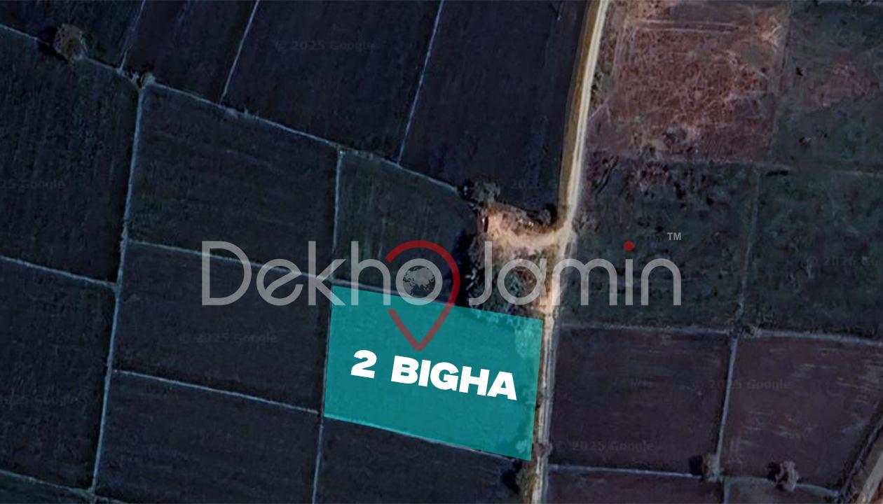 2 Bigha Agriculture Land Sale for Farm House Kadi Sanand Road