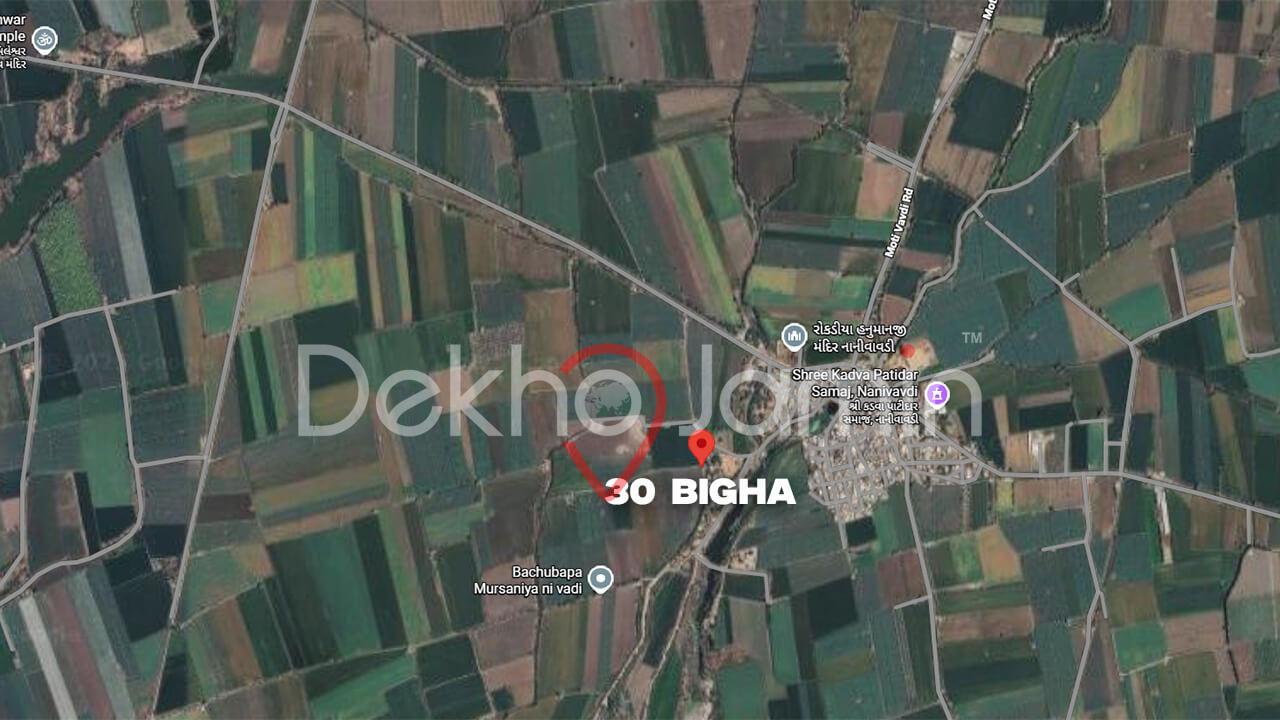 Land for Sale Nani Vavdi Dhoraji