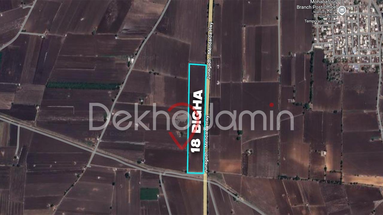 18 Vigha Agriculture Land For Sale In Mahobatpur Vanthali