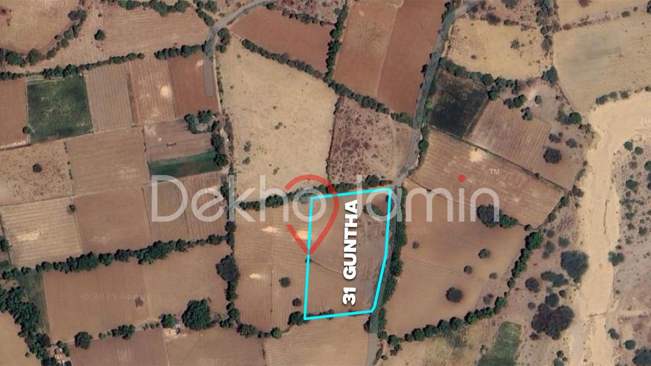 31 Guntha Agriculture Land For Sell In Punadra Prantij