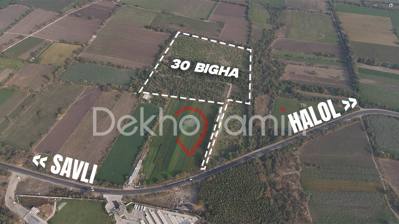 Land for Sale in Savli Halol Main Road