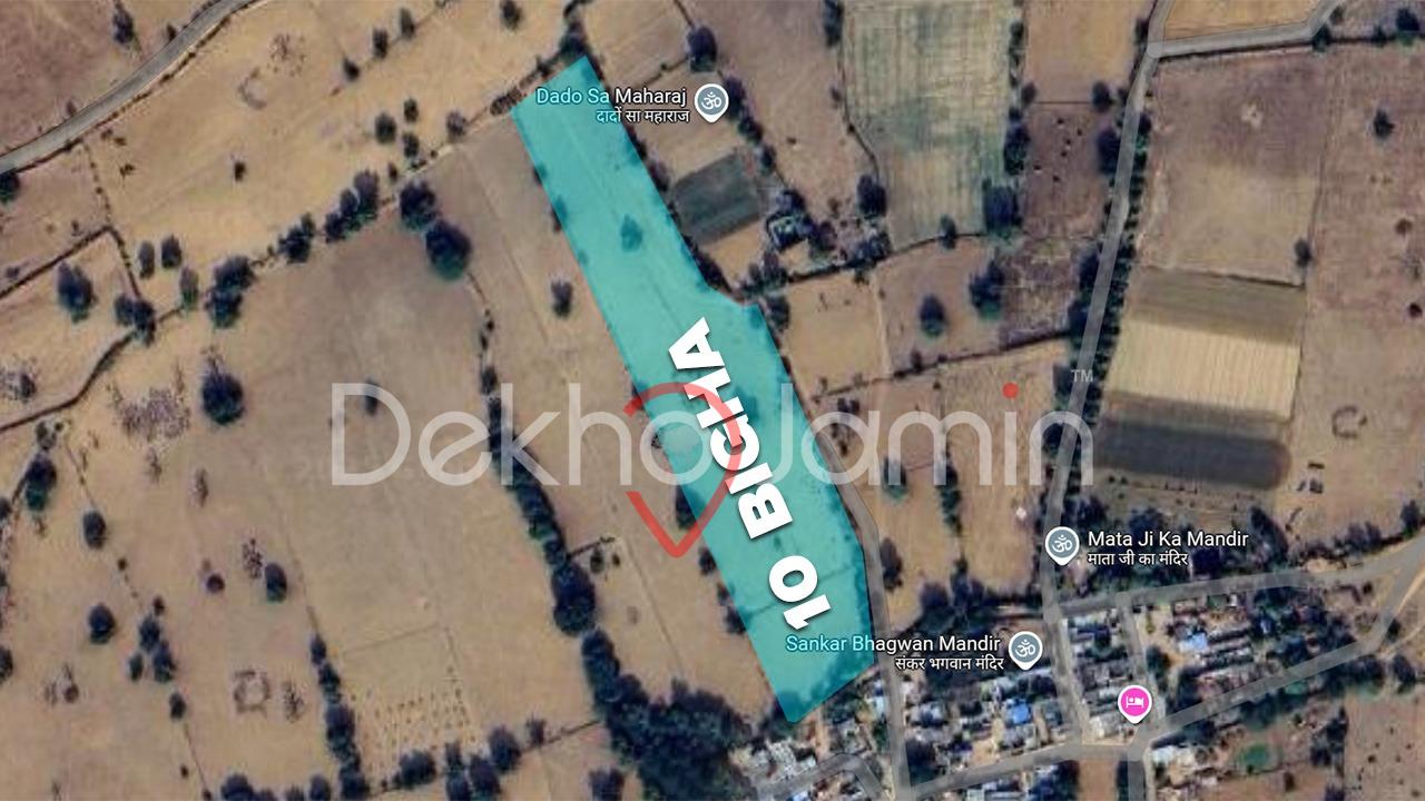 10 Bigha Agriculture Land For Sell In Punwalia, Rajasthan