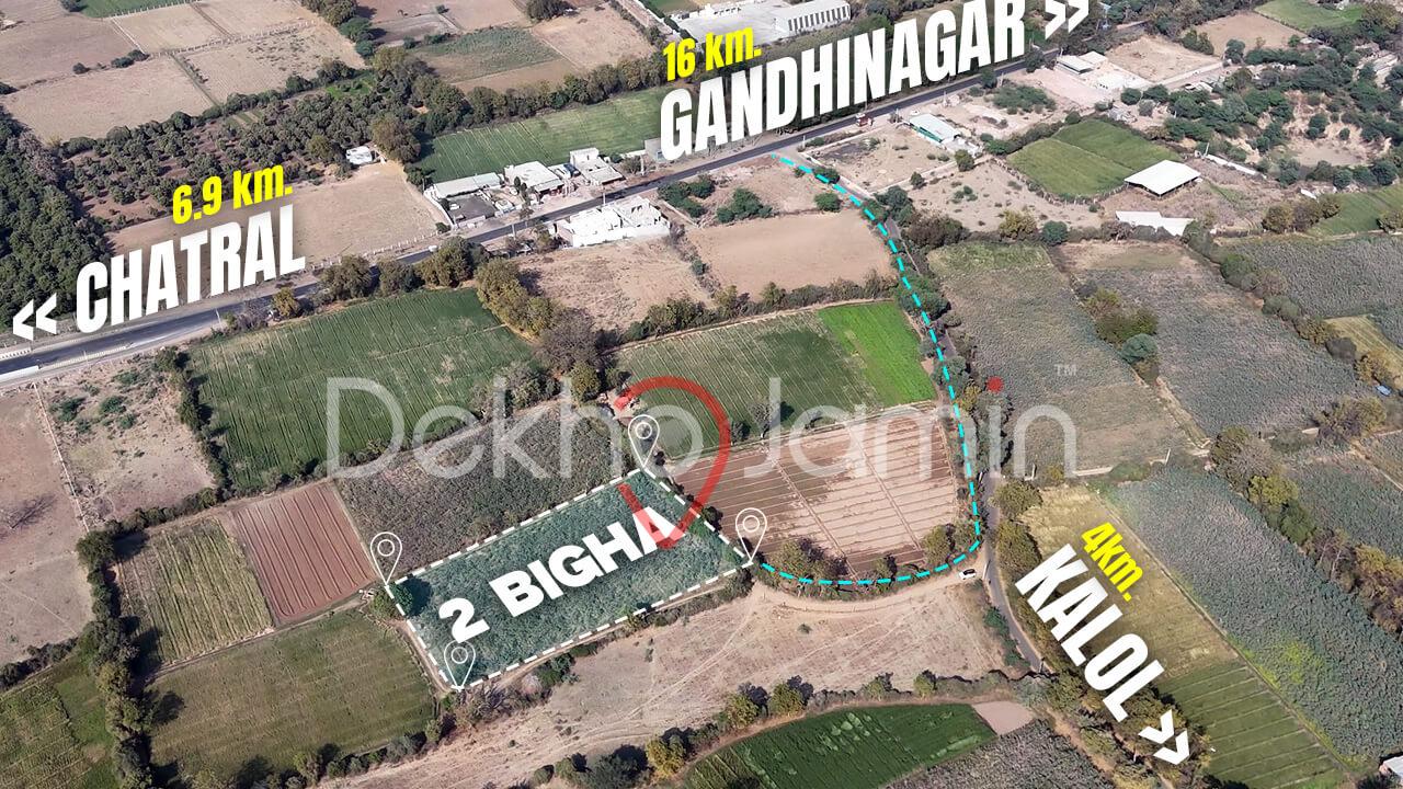 Farmhouse Land for Sale in Kalol