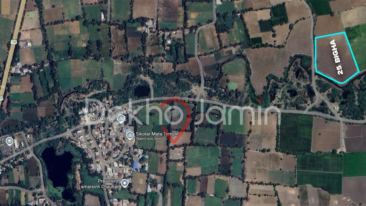 25 Vigha Agriculture Land For Sale In Alina Mahudha