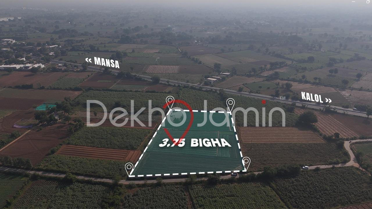 Land For Sale Parbatpura Mansa