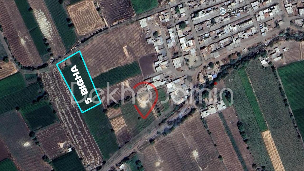 5 Vigha Agriculture Land For Sale In Bodiya Ranpur