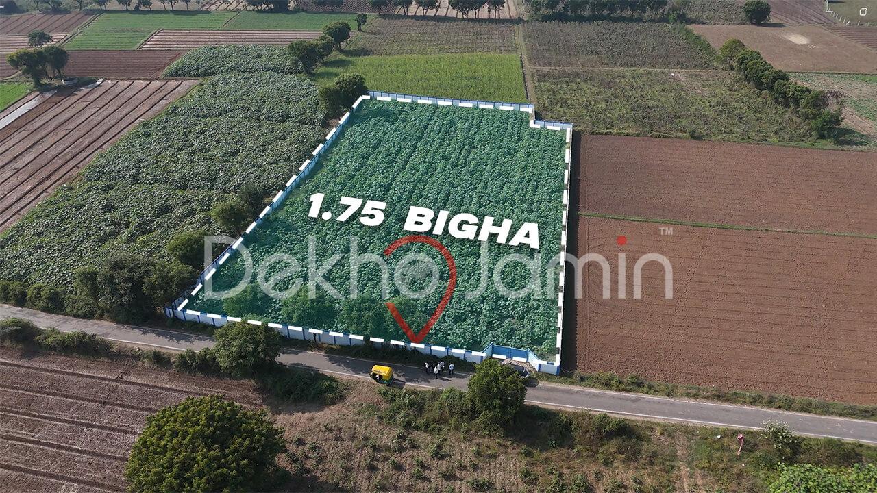 Farm Sale In Khata Mansa