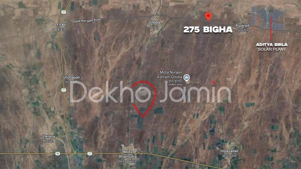 275 Vigha Agriculture Land For Sale In Ghoba Savar Kundla