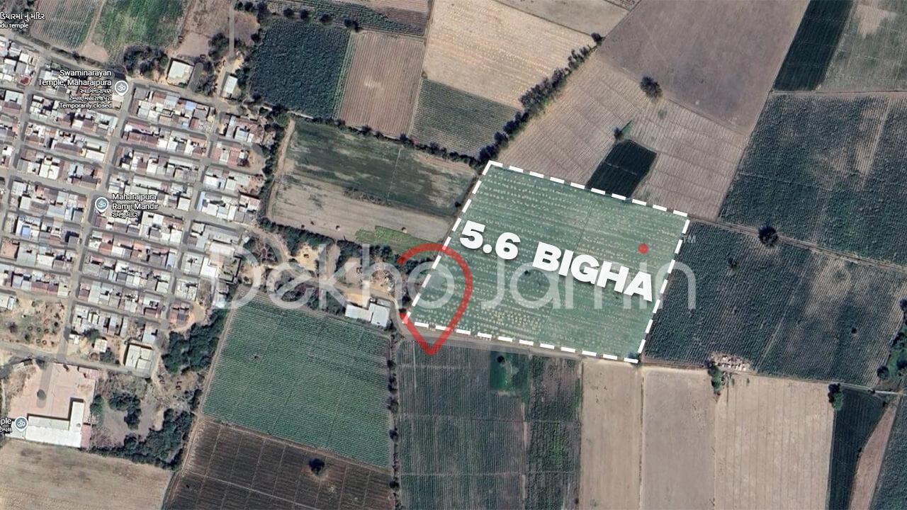 Land for Sale in Maharajpura Kadi