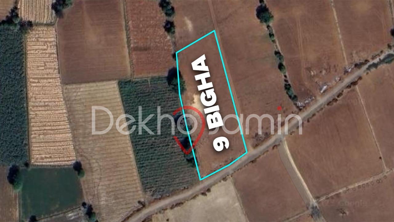 9 Vigha Agriculture Land For Sale In Samau Mansa