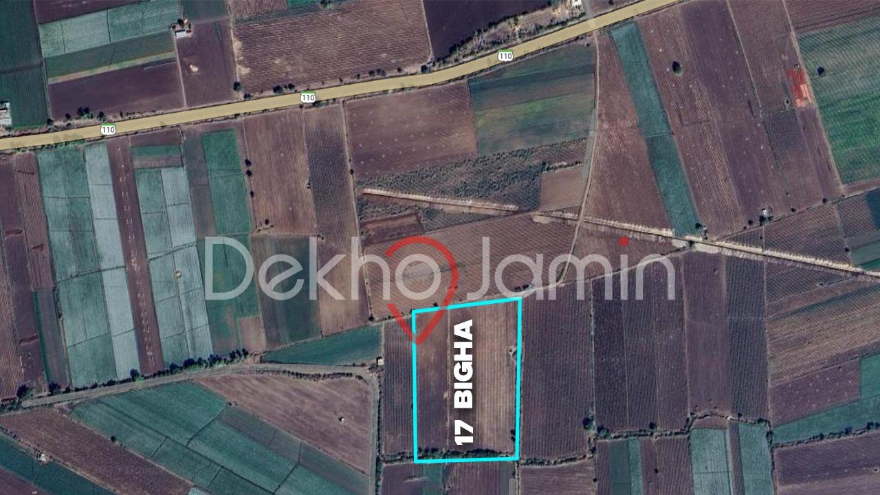 17 Vigha Agriculture Land For Sale In Khakhariya Kunkavav