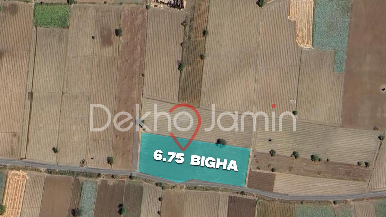 Agriculture Land For Sell In Jambu