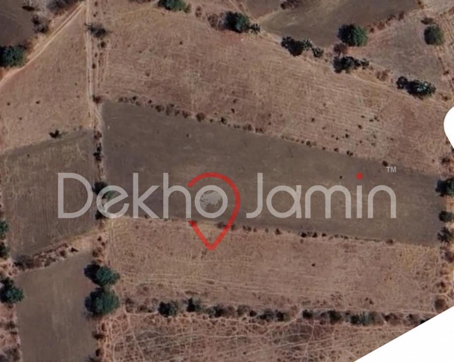 11 bigha agriculture land for sell in panchmahal halol Ravaliya