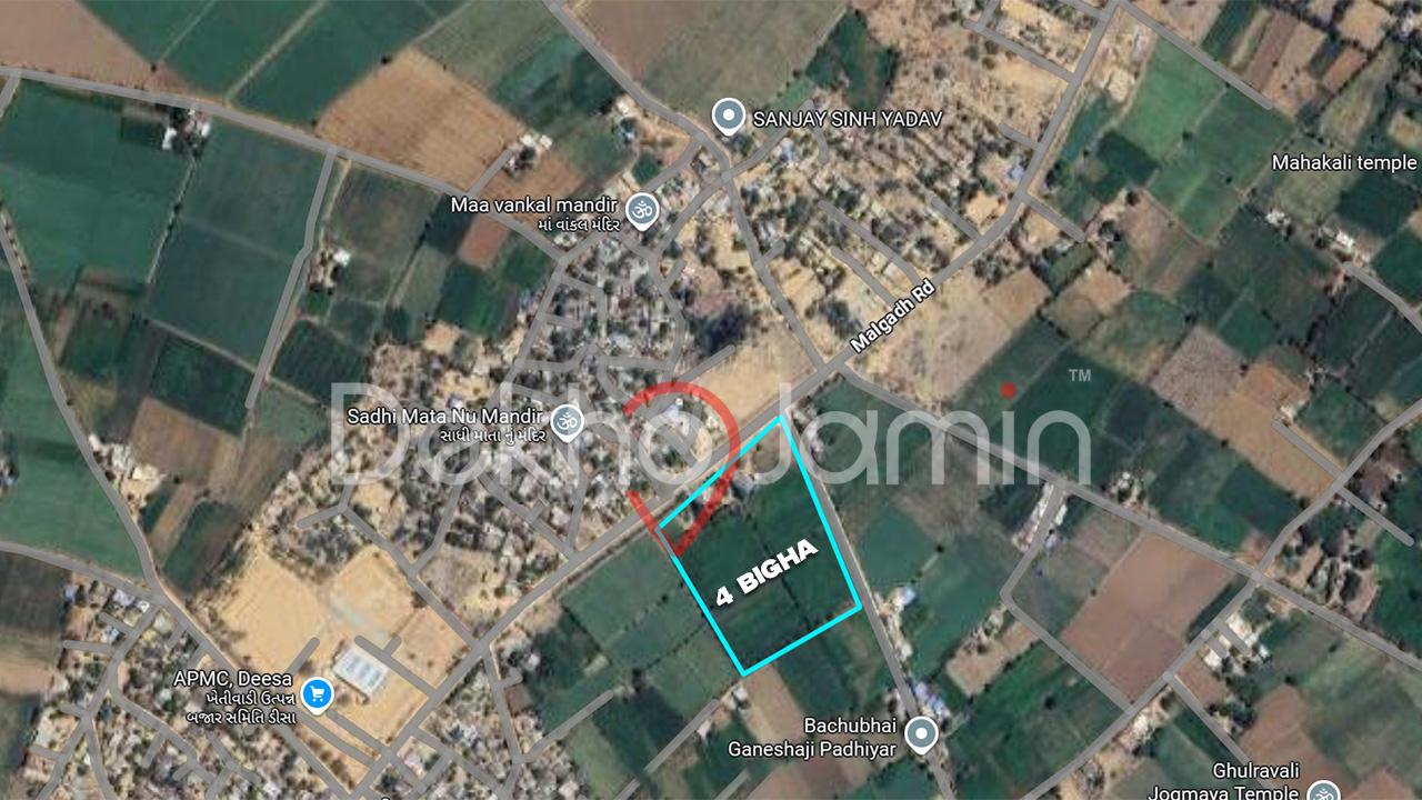 4 Vigha agriculture Land for Sale Malgadh Deesa