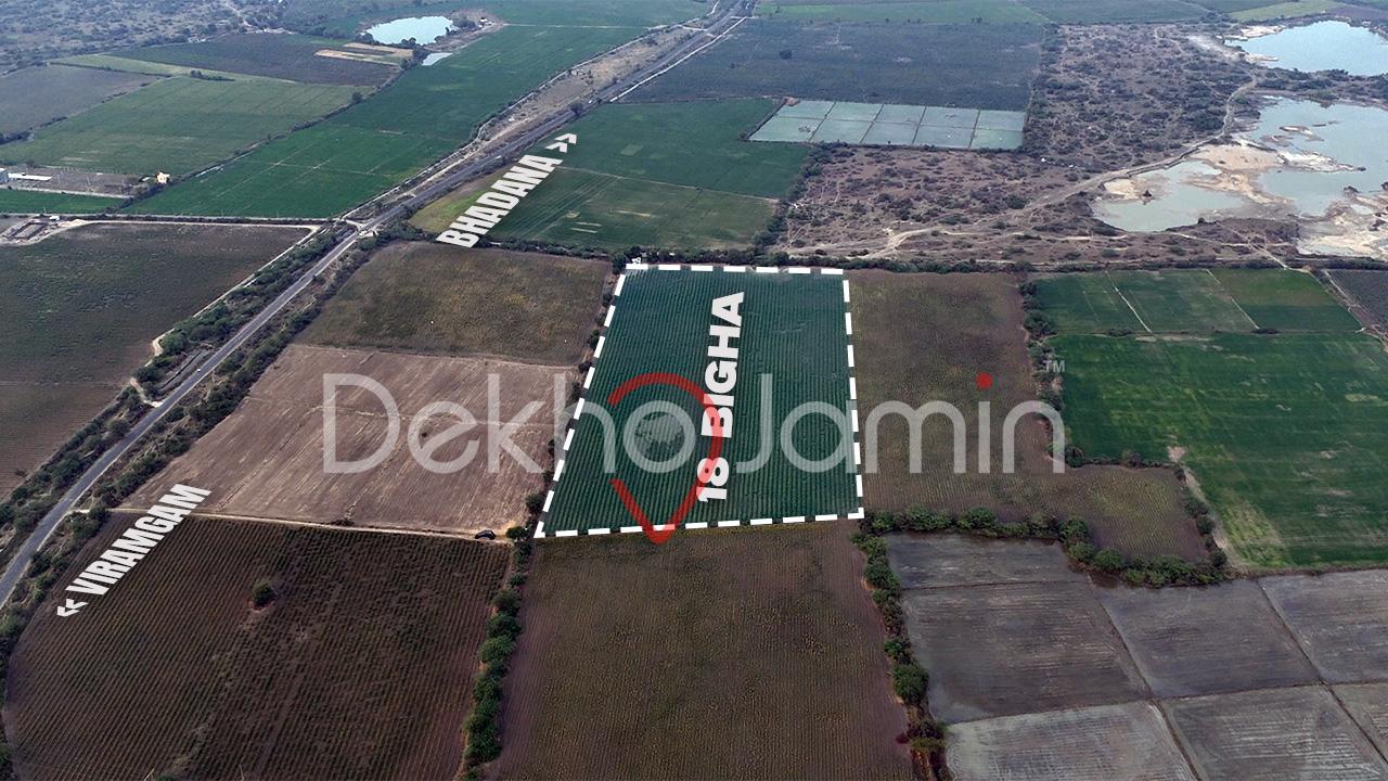Agriculture Land for Sale in Viramgam Gujarat