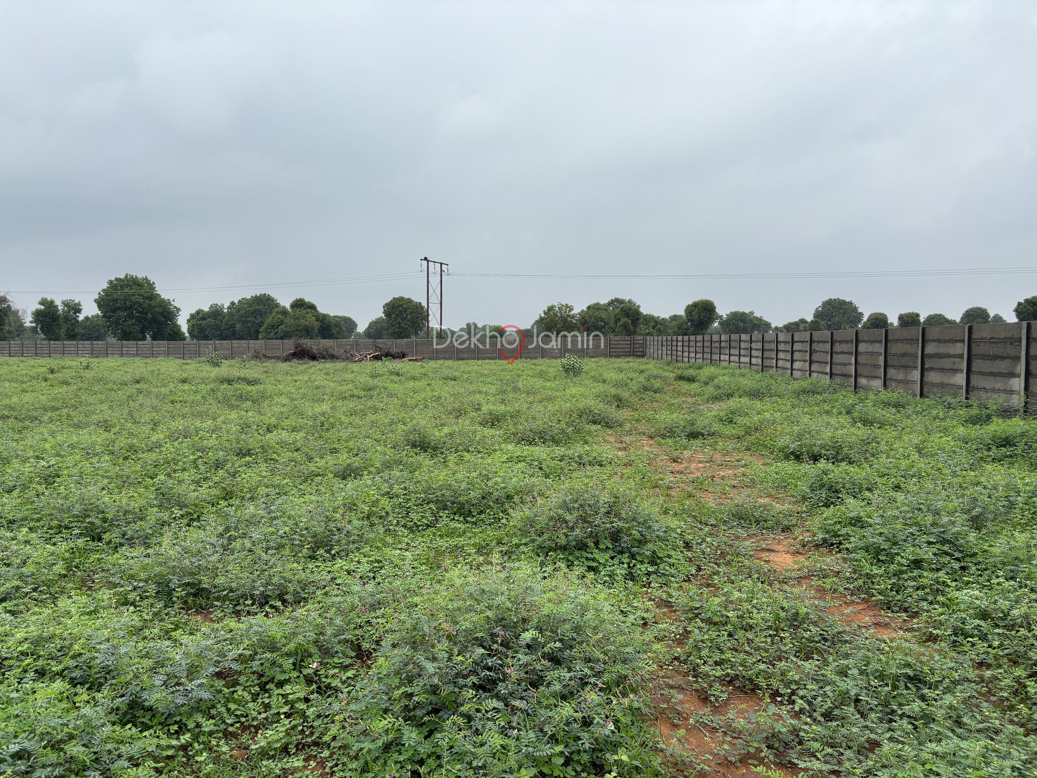 8 vigha samu , mansa, gandhinagar