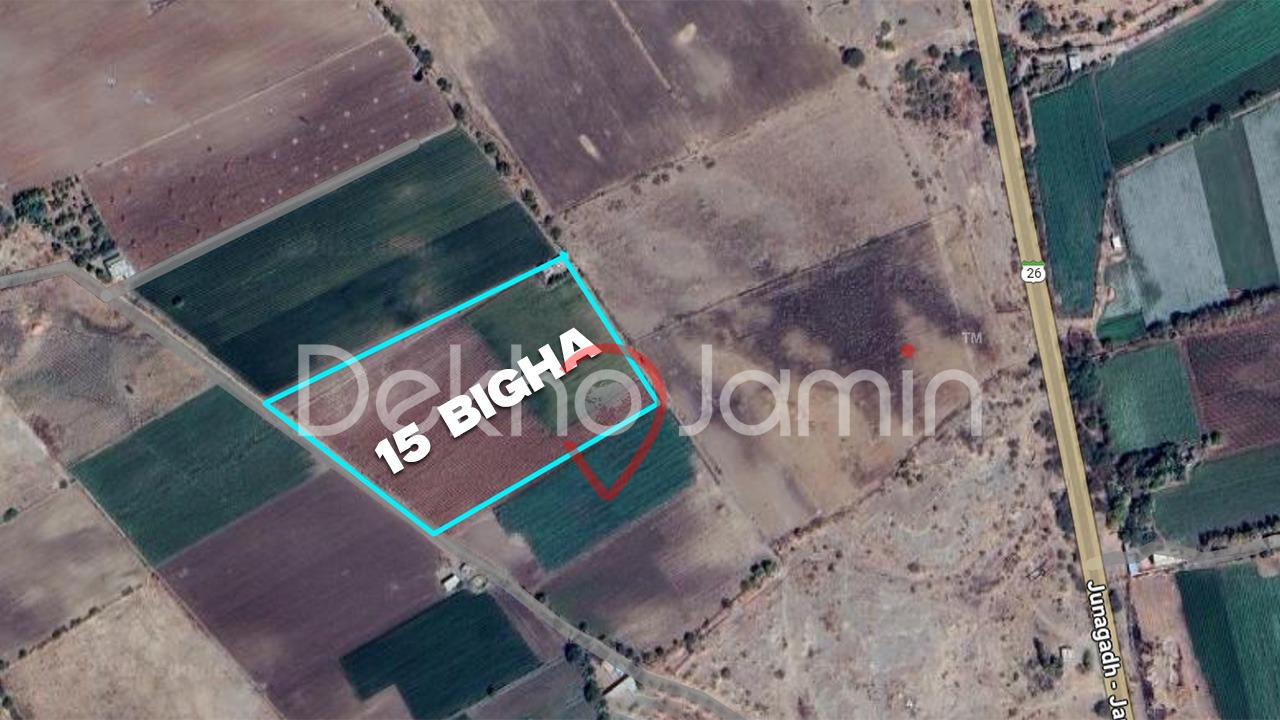 15 Vigha Agriculture Land For Sell In Khandhera