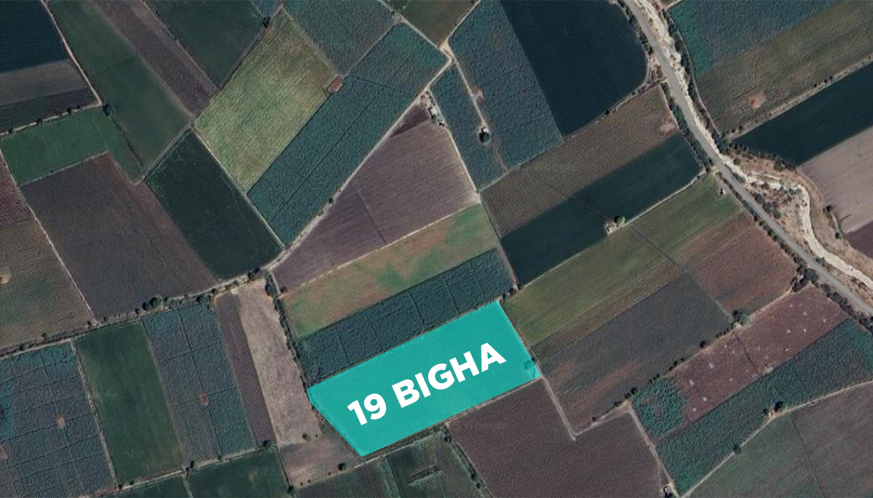 19 Bigha Agriculture Land Sale Moti Marad near Dhoraji