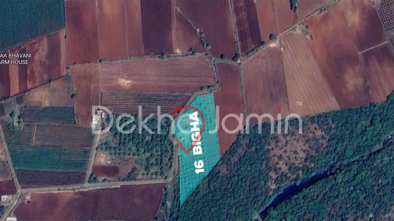 16 Vigha Amba Vadi Sale near Devaliya Park Sasan Gir Junagadh