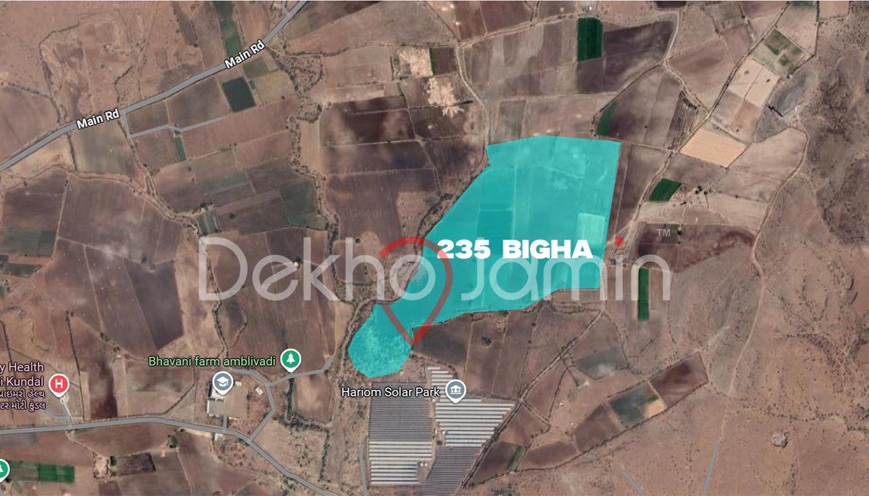 235 Vigha Agriculture  Land For Sale in Moti Kundal
