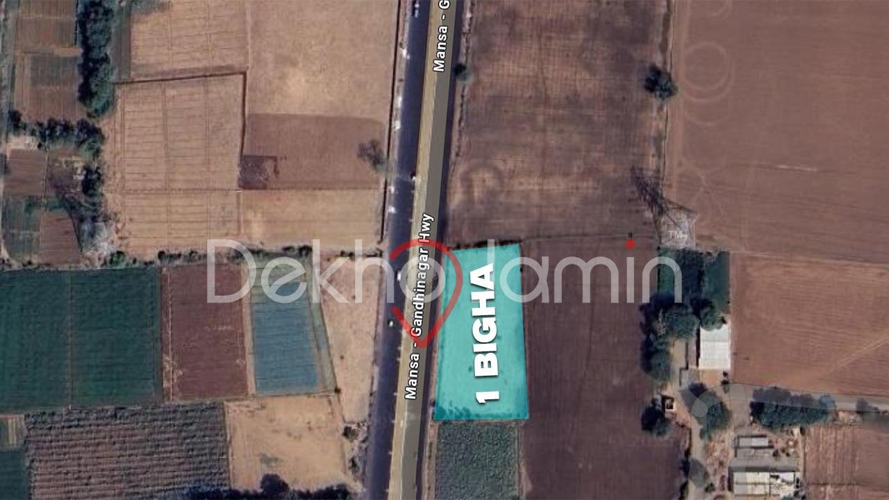 1 Vigha Agriculture Land For Sell In Limbodra, Mansa