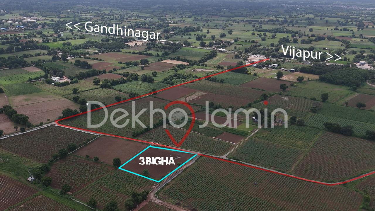3 Vigha Agriculture Land Sale in Pindharada Gandhinagar