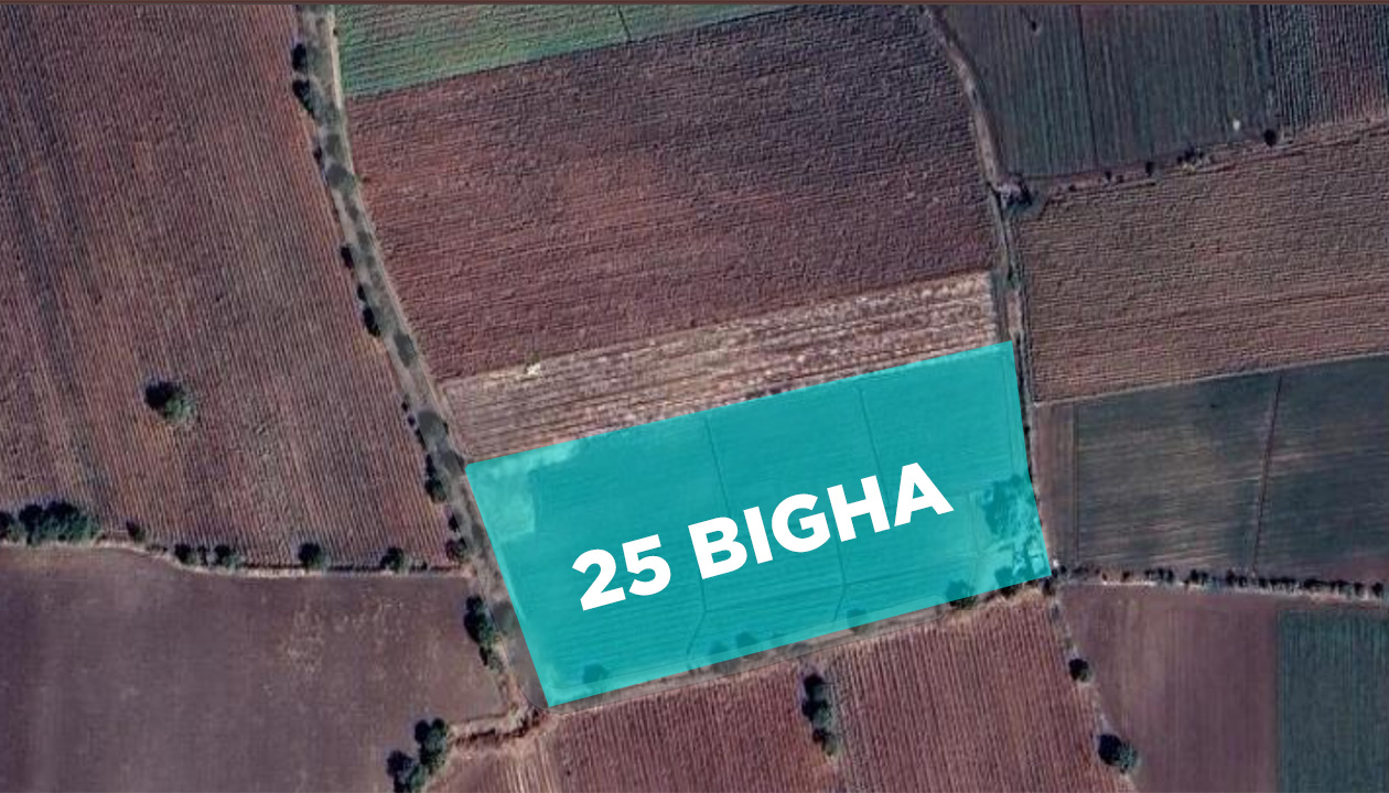 25 Bigha Agriculture Land Sale Aliya bada Jamnagar
