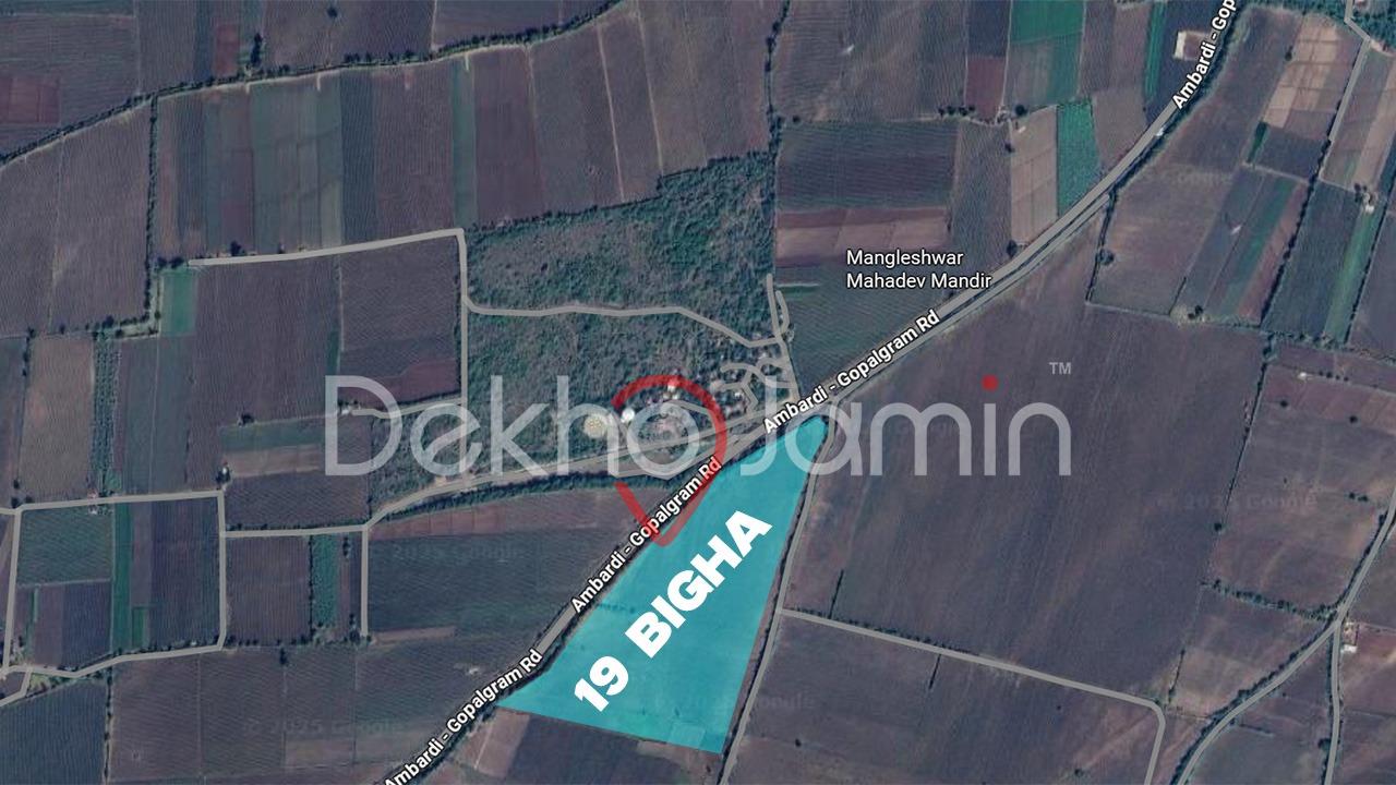 19 Vigha Agriculture Land For Sell In Gopalgram