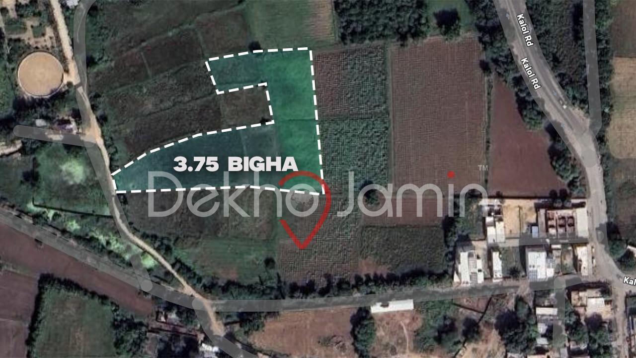 Land for Sale in Jaspur