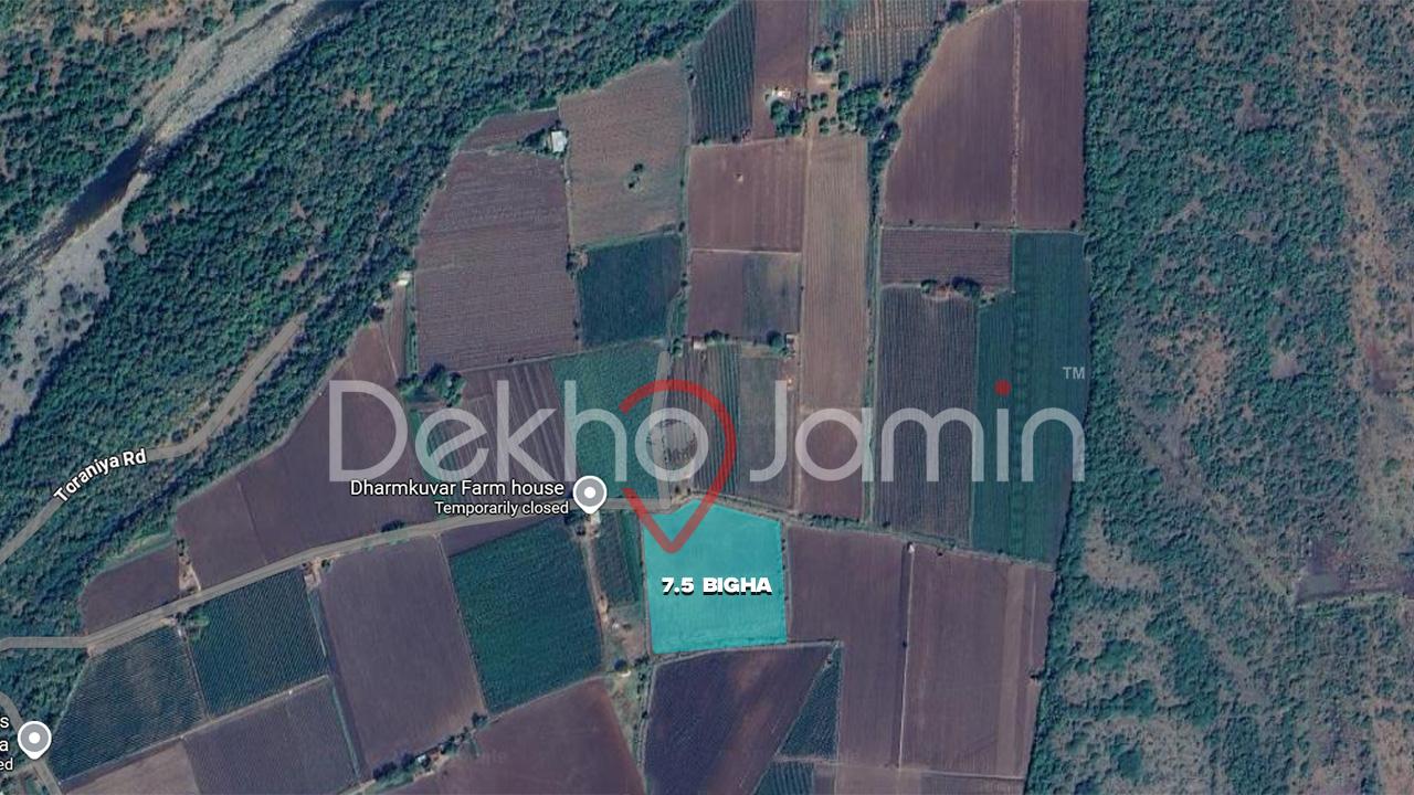 Agriculture Land near Girnar Parvat Toraniya Junagadh