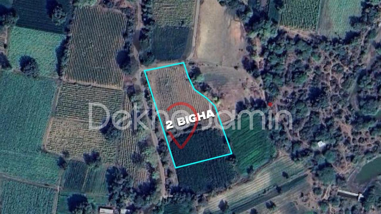 2 Vigha Agriculture Land For Sell In Akrund, Aravalli