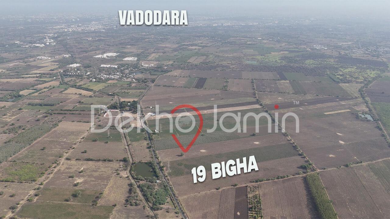 Land for Sale in Dhaniyavi