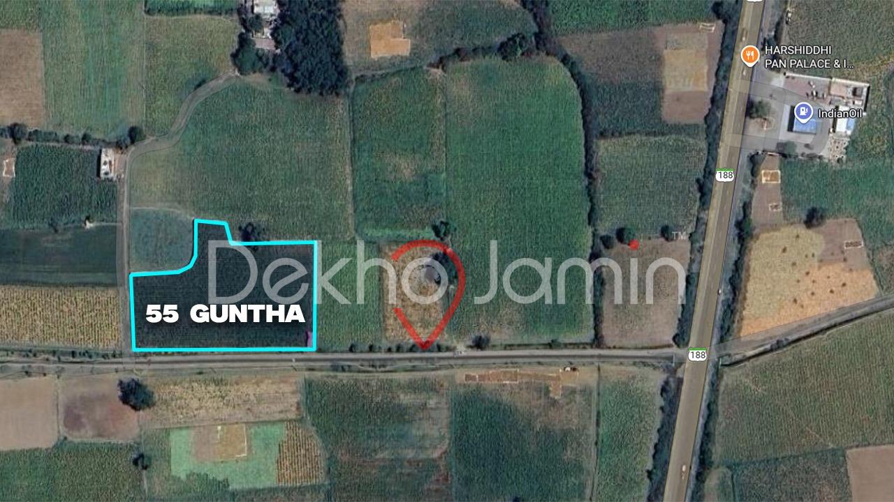 55 Guntha Agriculture Land For Sale In Alina Mahudha