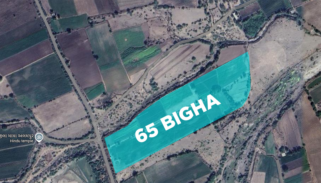 65 Bigha Agriculture Land Sale Alampur Botad Road Touch