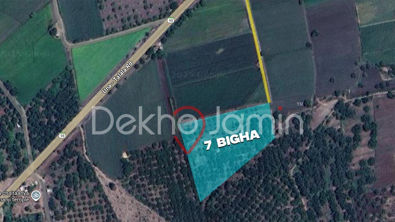 7 Vigha NA Land For Sell In Surva, Talala