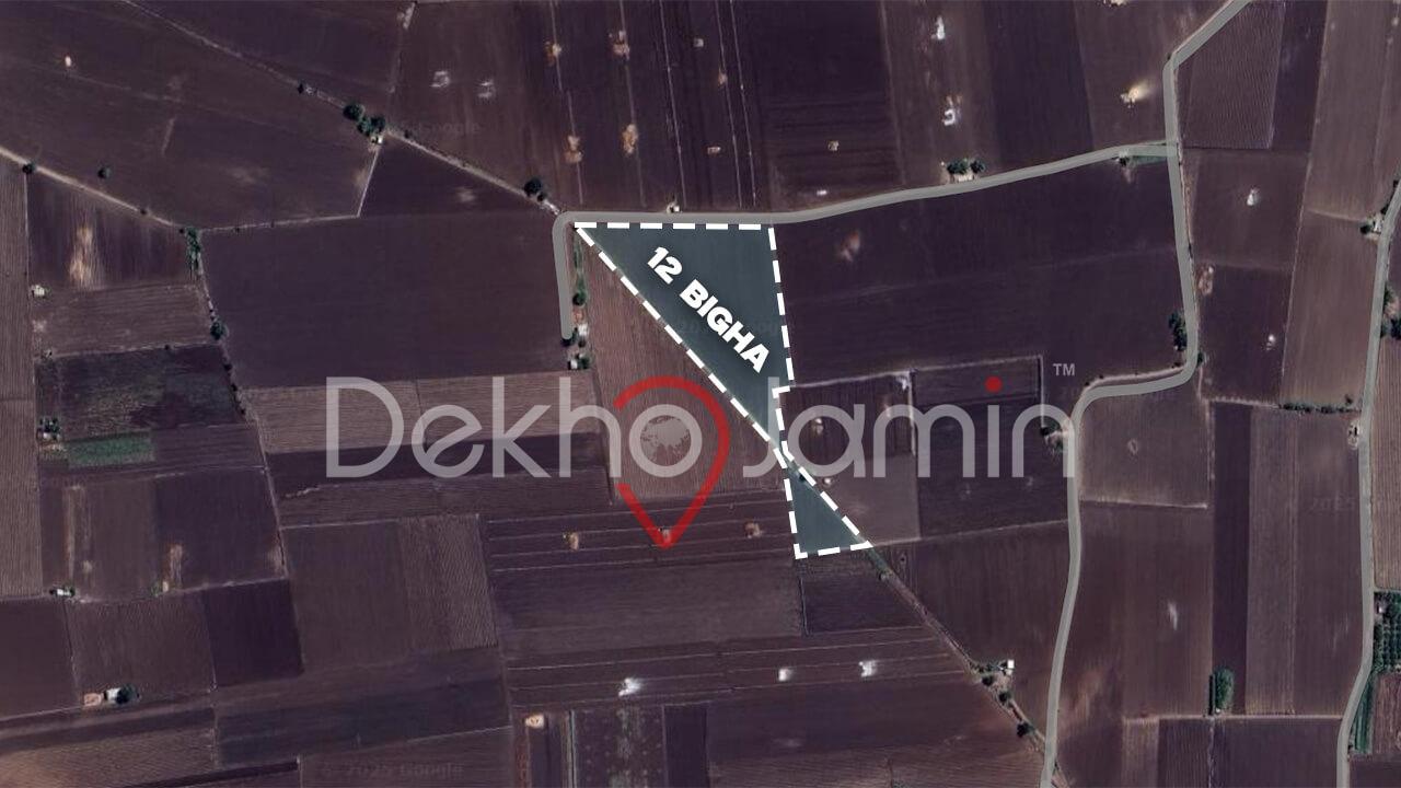 Land for Sale in Ganthila Junagadh