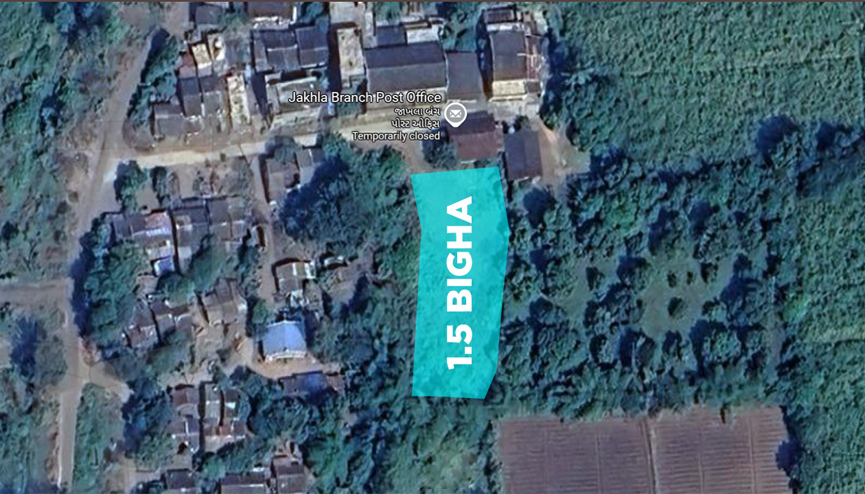 1.5 Bigha Agriculture Land for Rent Jakhla Mandvi near Surat