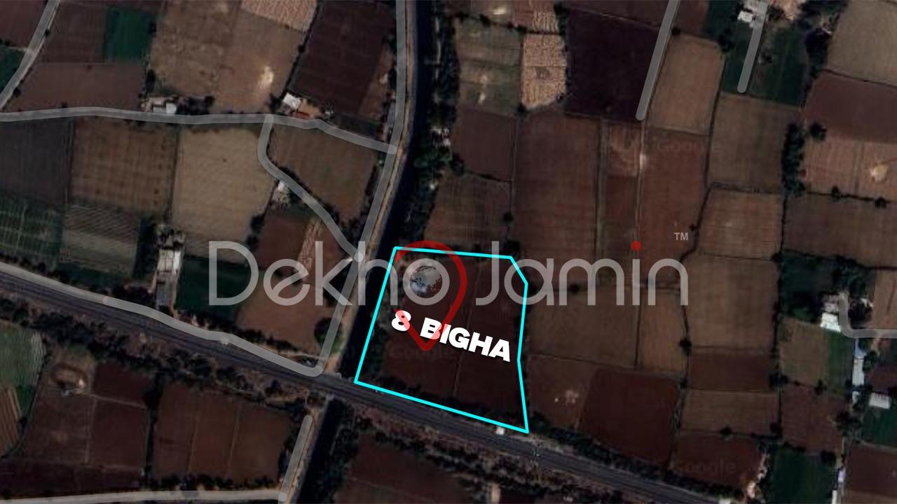 8 Vigha Agriculture Land For Sell In Rasana