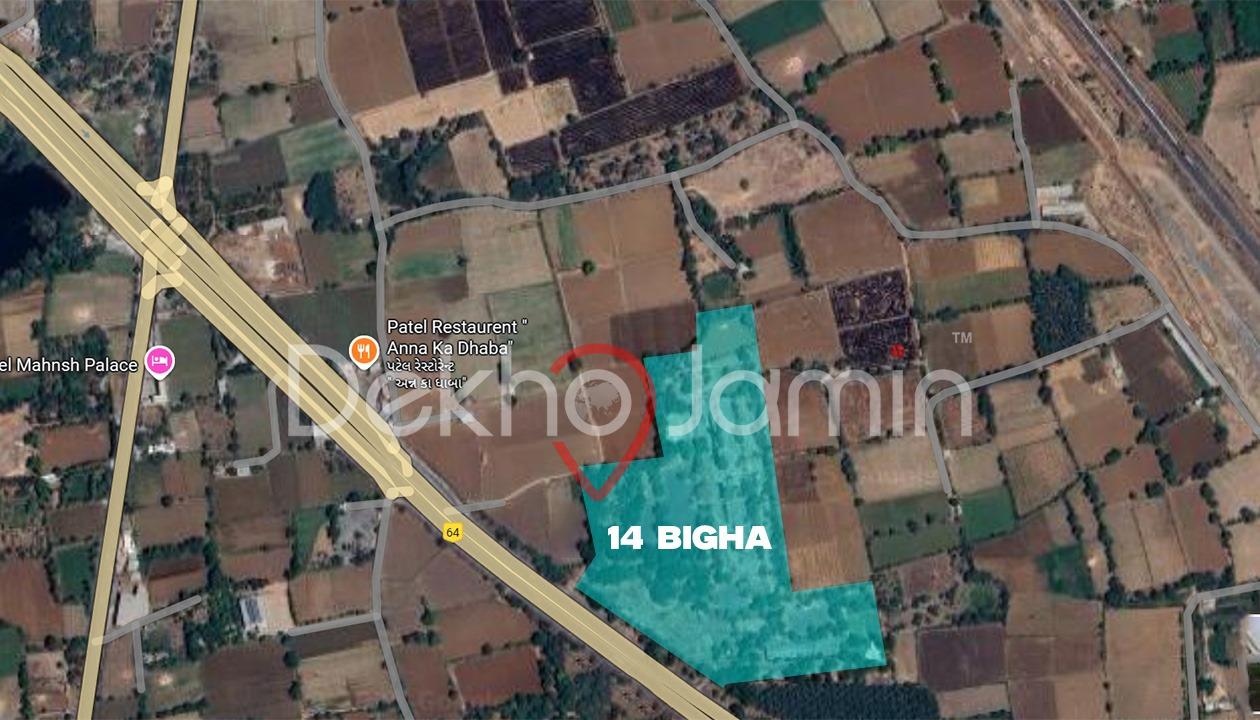 14 Vigha Agriculture Land For Sell In Narsanda