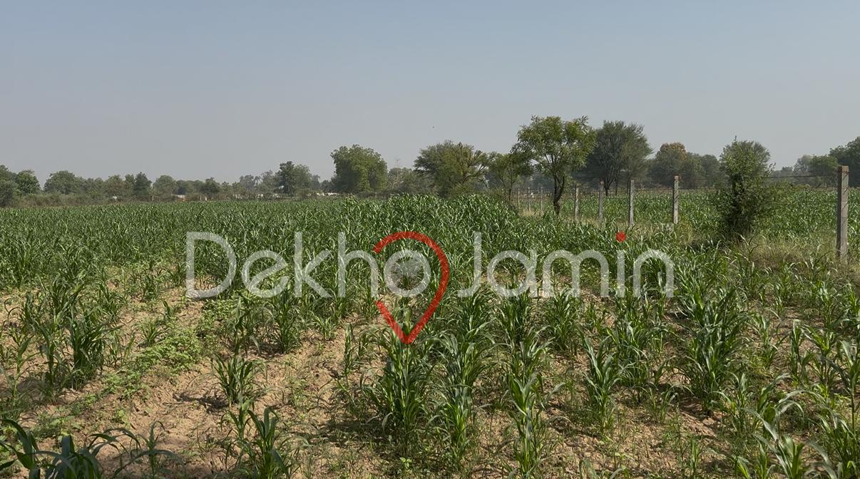 5.5 vigha land sell in dahegam karoli-Harsholi