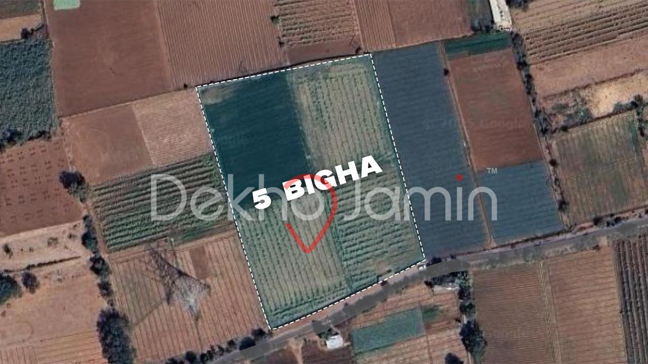 5 Vigha Agriculture Land For Sale In Parbatpura Mansa
