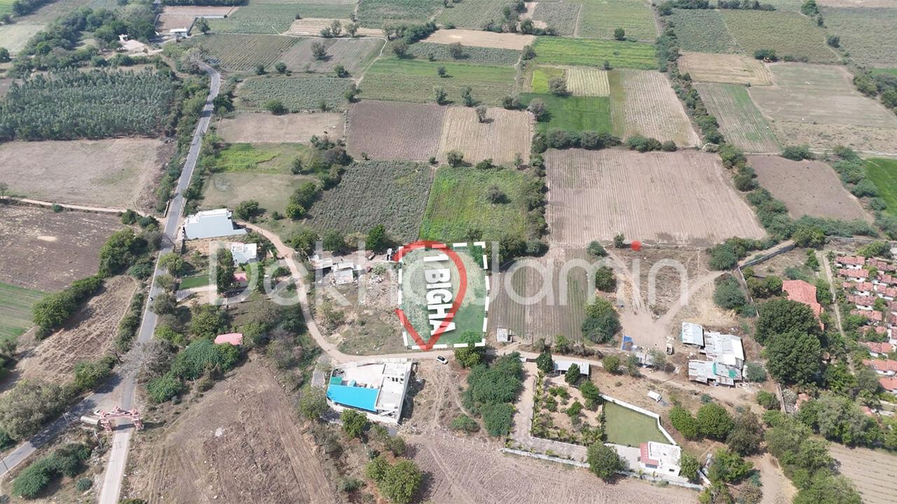 Land for Sale Chansad Padra