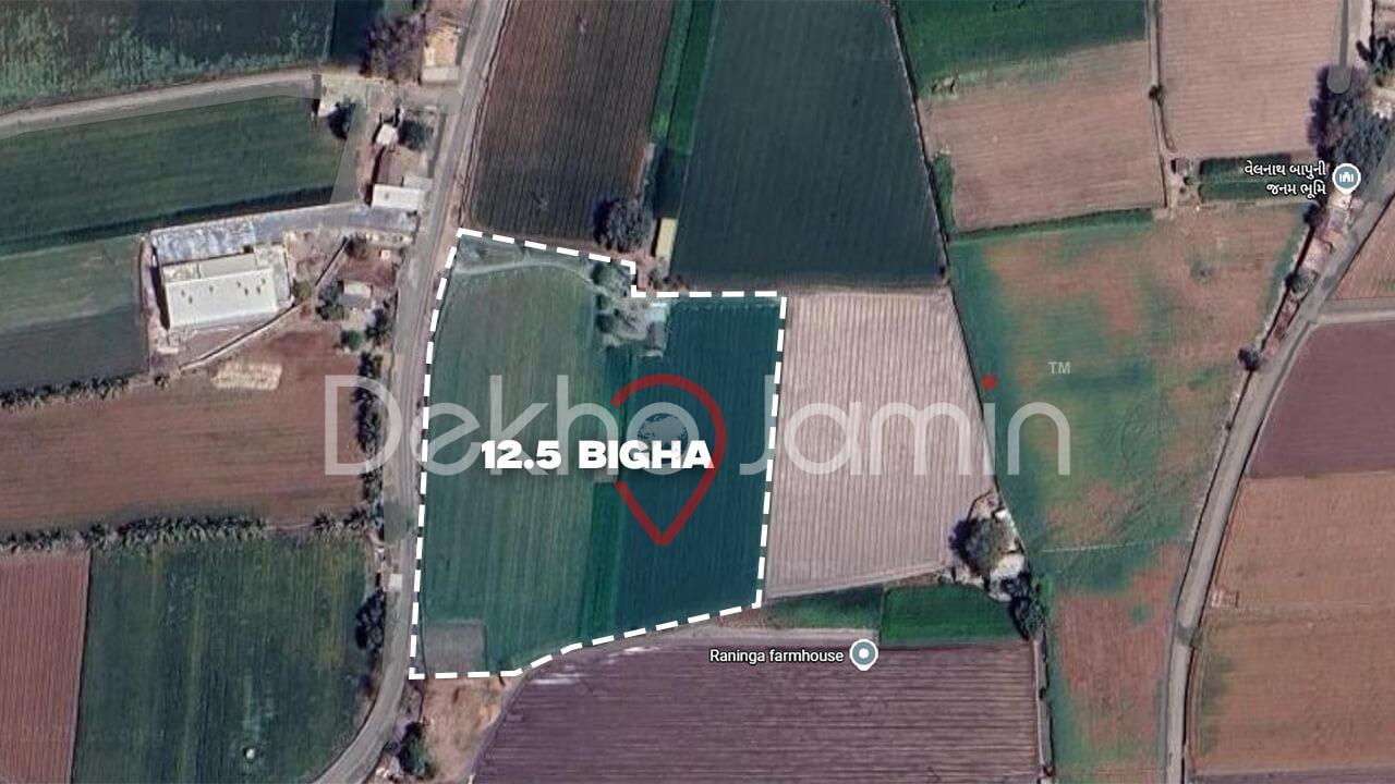 Land for Sale Plasva Junagadh